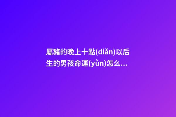 屬豬的晚上十點(diǎn)以后生的男孩命運(yùn)怎么樣？ 亥時(shí)出生的男人好嗎-第1張-觀點(diǎn)-玄機(jī)派